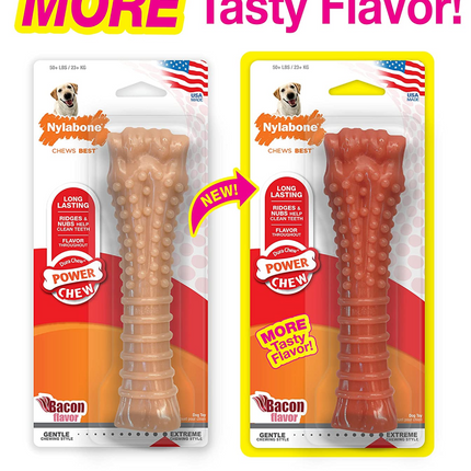 Nylabone Power Chew Textured Bone Toy for Dogs (Brown)
