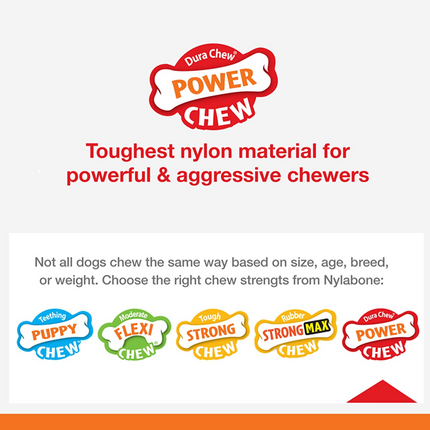 Nylabone Power Chew Flavor Frenzy Textured Bone Toy for Dogs (Yellow, Brown)