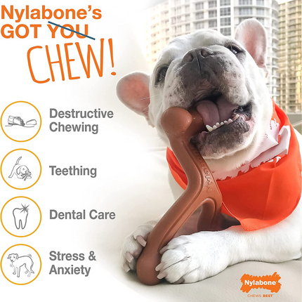 Nylabone Braided Bully Stick Power Chew Alternative Toy for Dogs