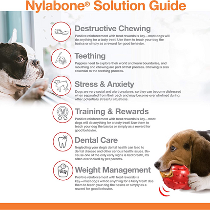 Nylabone Beef Flavor Power Chew Femur Dog Bone for Dogs