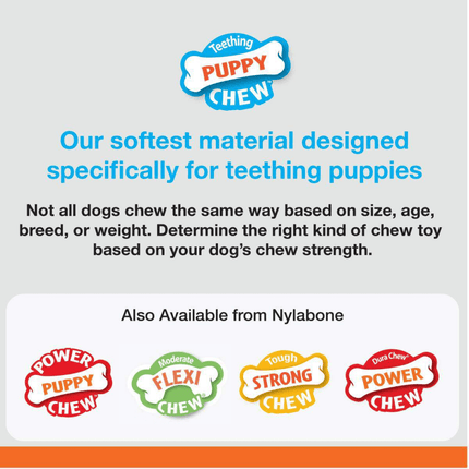 Nylabone Puppy Teething Chicken Flavoured Wish Bone Chew Toy for Dogs (Blue)