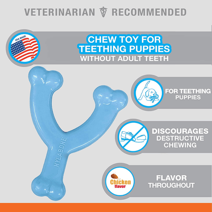 Nylabone Puppy Teething Chicken Flavoured Wish Bone Chew Toy for Dogs (Blue)