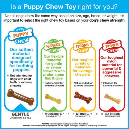 Nylabone Puppy Teething Chicken Flavoured Wish Bone Chew Toy for Dogs (Blue)