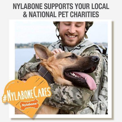 Nylabone Beef Flavor Power Chew Femur Dog Bone for Dogs
