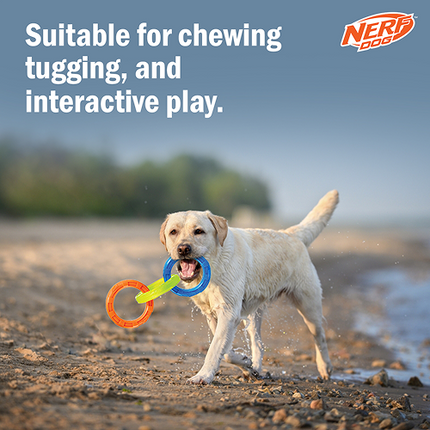 Nerf Dog EXO Translucent Spike 3 Rings Toy for Dogs (Blue/Green/Orange)