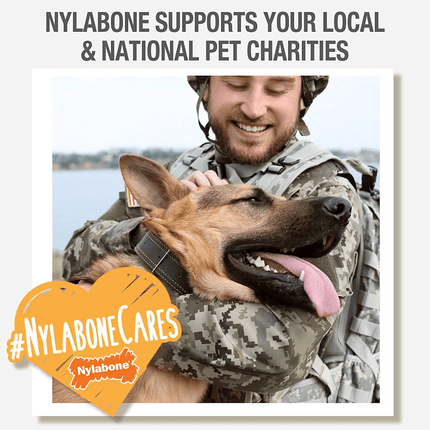 Nylabone Power Chew Textured Bone Toy for Dogs (Brown)