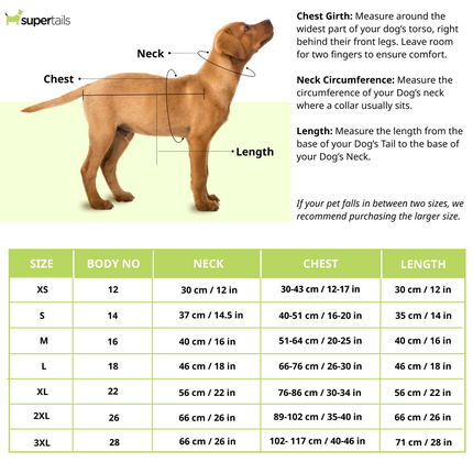 Pawgypets Reversible Quilted Jacket for Dogs and Cats (Olive Green)