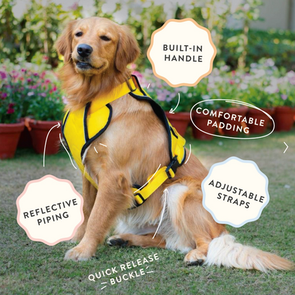 Pawpourri Adjustable Reflective Padded Harness for Dogs (Orange)