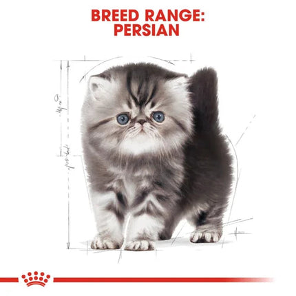 Royal Canin Persian Dry Food and Gravy Kitten Cat Wet Food Combo