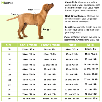 Pet Set Go Naps & Snacks T Shirt for Dogs (Red)