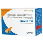 1 Strip (10 tablets)
