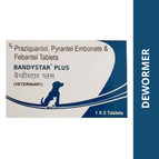1 Pack (2 tablets)