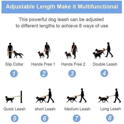 Talking Dog Club Multifunction Handsfree Leash for Dogs (Purple/Green)