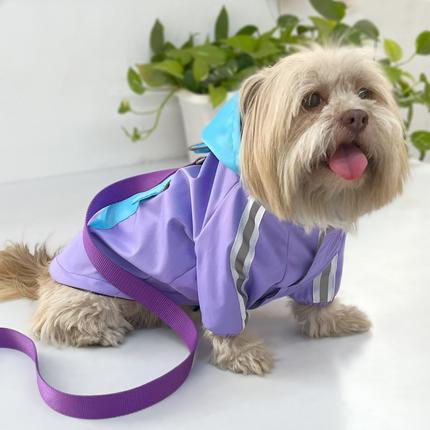 Pets Way TPU Rainstorm Raincoat for Dogs (Lavender)