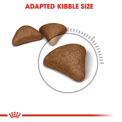 Royal Canin Hairball Care Adult Cat Dry and Wet Food Combo