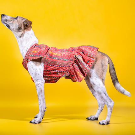 Skatrs Cotton Printed Dress for Dogs and Cats (Red)