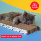 Pack of 1