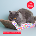 Pack of 1