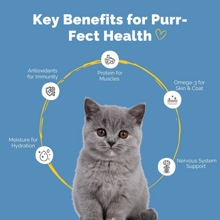 PetStrong Sardine in Gravy Cat Wet Food