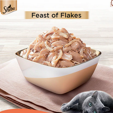 Sheba Fish with Sasami Premium Cat Wet Food and Sheba Chicken Flavour Irresistible All Life Stage Cat Dry Food Combo