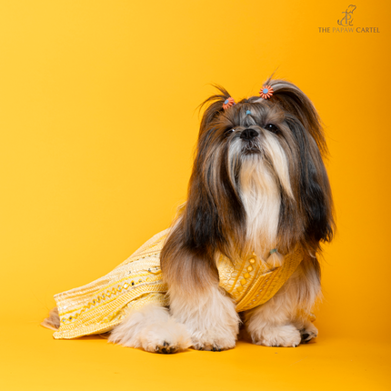 The Papaw Cartel Sunrise Ghagra Choli with Mirror Embroidery for Dogs (Yellow)