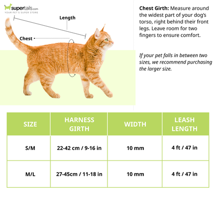 Trixie Harness with Leash for Cats & Kittens (Blue)