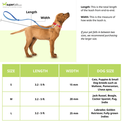 A Plus A Pets Leash in Pirate Design for Dogs