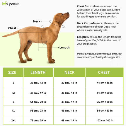 Talking Dog Club Player Ltd Edition Sports Jersey for Dogs (Orange)