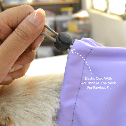 Pets Way TPU Thunder Raincoat for Dogs (Lavender)