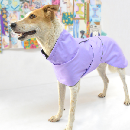 Pets Way TPU Thunder Raincoat for Dogs (Lavender)