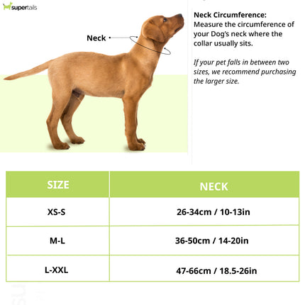 Boss Core Walk Collar for Dogs (Camel)