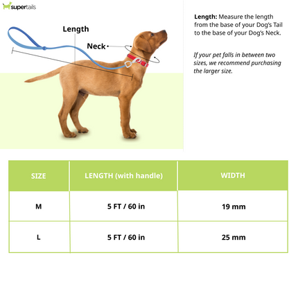 TopDog Premium Abstract Printed Nylon Leash for Dogs (Cream)