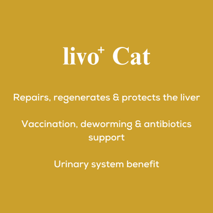 Venttura Liver Repair, Support Recovery & Recuperation Supplement for Cats