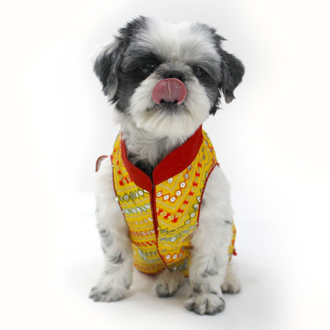 Dogobow Embroidered Sherwani for Dogs (Yellow)