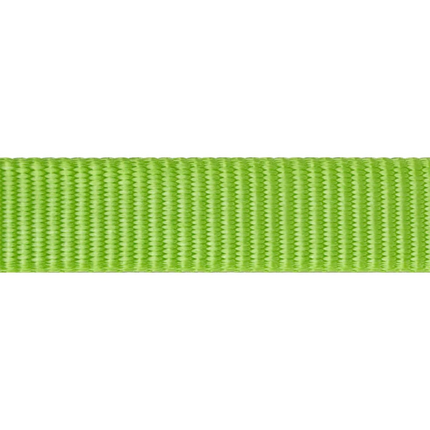 Red Dingo Classic Collar for Dogs (Lime Green)