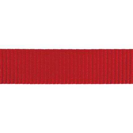Red Dingo Classic Collar for Dogs (Red)