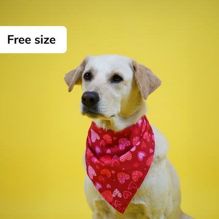 Skatrs Heart Printed Bandana for Dogs and Cats (Red)