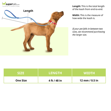 Basil Shock Absorbing Stretch Leash for Dogs (Green)