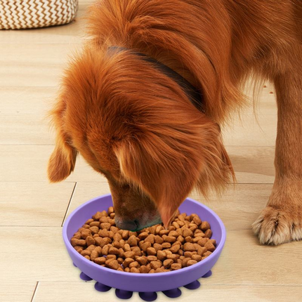 Talking Dog Club Lickables Licking Bowls for Dogs and Cats (Black)