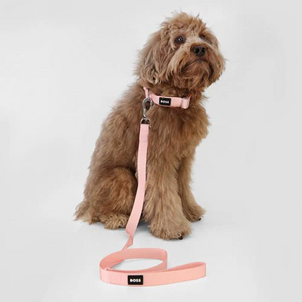 Boss Core Walk Leash for Dogs (Pink Cream)