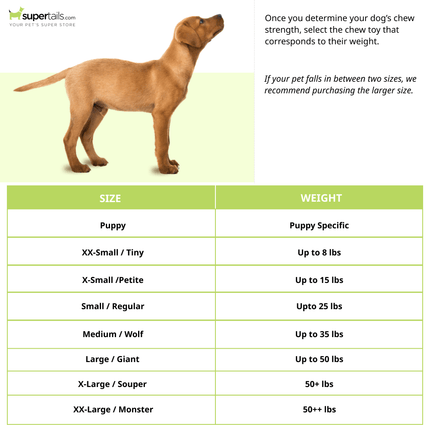 Nylabone Moderate Chew Knot Toy for Dogs