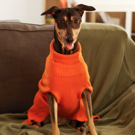 Pet Set Go Elsa's Sweater for Dogs (Orange)