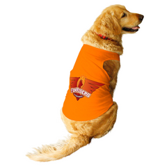 Collection image for: Dog IPL Jerseys New