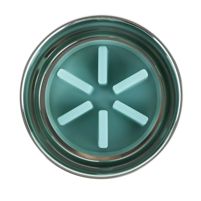 Pawpourri Premium Bowl with Silicone Slow Insert for Dogs and Cats