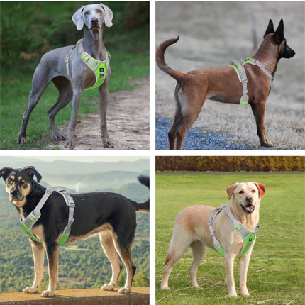Hank 3M Reflective Harness for Puller Dogs (Grey/Neon Green)