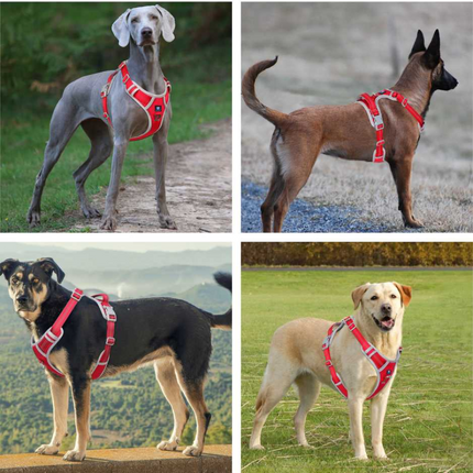 Hank 3M Reflective Harness for Puller Dogs (Grey/Red)