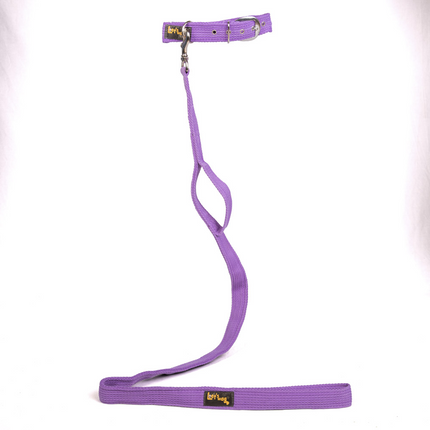 Let's Wag Double Handle Fabric Leash for Dogs (Purple)