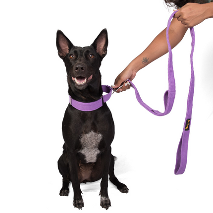Let's Wag Double Handle Fabric Leash for Dogs (Purple)
