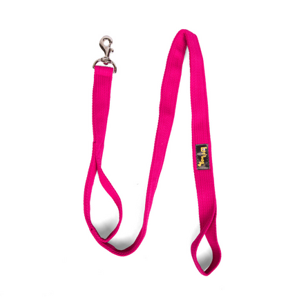 Let's Wag Double Handle Fabric Leash for Dogs (Pink)