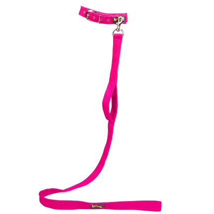 Let's Wag Double Handle Fabric Leash for Dogs (Pink)